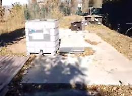Odioso raid notturno all'oasi felina, rubati pali di ferro e altro materiale