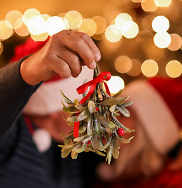 Gran concerto di Natale