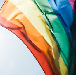 Migranti LGBT: politiche e servizio del territorio