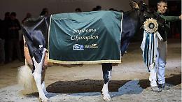 Supreme Champion, Llinde Ariel Jordan replica il successo