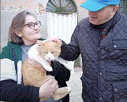 Pet therapy: colonia felina 'adottata' dai disabili