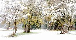 Mostra: Neve e nebbia in Valpadana 