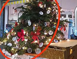 L’albero dei volontari preso di mira dai vandali