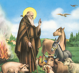 Il pranzo di Sant'Antonio