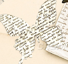 Presentazione libro ''Come farfalle di carta: un amore ai tempi della guerra''