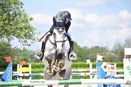 Caduta rovinosa al maneggio: fantino 27enne ferito, muore il cavallo