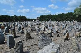 "Gli alberi di Treblinka" un viaggio nel silenzio del campo di sterminio