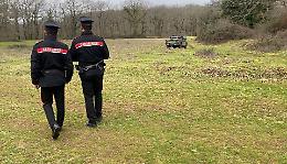 Si perdono nel bosco, padre e figlio 13enne ritrovati dai carabinieri