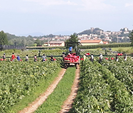 Incontro: Agromafie e caporalato nell’Agro Pontino