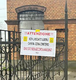 Incubo bocconi avvelenati