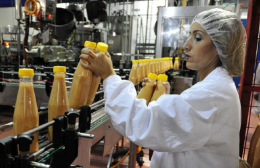 Sono tornate le assunzioni, il 2023 ha chiuso a +11,9%