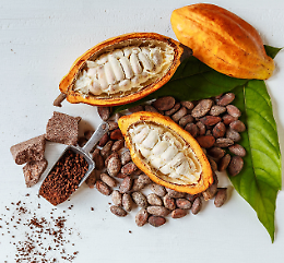 Il viaggio del cacao, incontro laboratoriale per famiglie