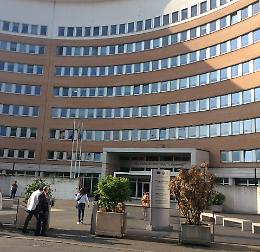 Vittima di revenge porn: dottoressa licenziata per «danni all'immagine»