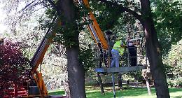 Un albero ogni 5 cremaschi, gli ultimi 300 lungo il Serio
