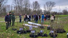 Oltre 2mila alberi in dono all’ambiente