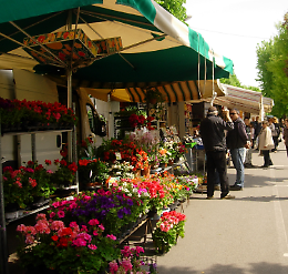 45° Fiera Agrumello -  Fiera Regionale Agricola di Primavera