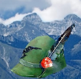 Raduno Sezionale Alpini Cremona-Mantova