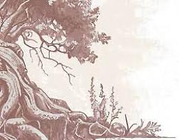 Presentazione del libro di Tiziano Fratus "Alberodonti d'Italia"