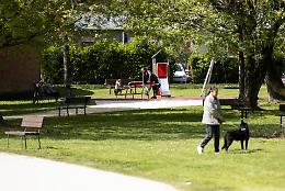 Il Parco Tognazzi rimesso a nuovo e riaperto