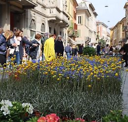 Le Invasioni Botaniche colorano la città