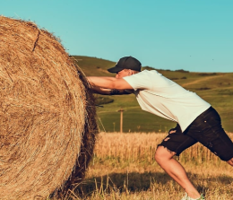 Fiera di Primavera con Rotosburla e molto altro!