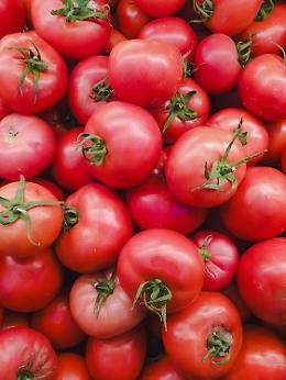 Incontro con Marco Omizzolo: Alimentazione ed Etica