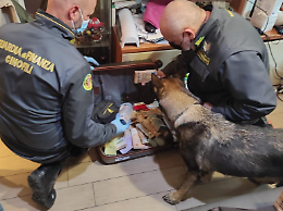 Società fantasma e fatture false, sequestrati oltre 5 milioni di euro in contanti