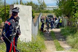 Bimbo di 15 mesi azzannato e ucciso da due pitbull 
