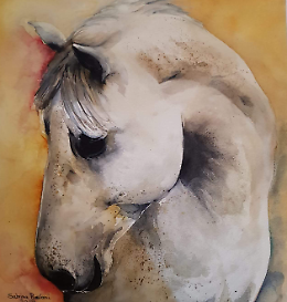 Esposizione "La bellezza del colore" di M. S. Ravani