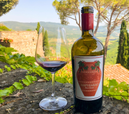 Vino in Corte - Mostra Mercato dei vini e dei prodotti del territorio