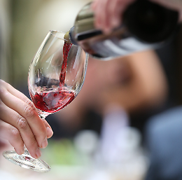 Degustando a Spineda, 7a edizione