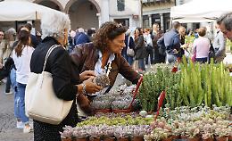 Fiori e sapori: il centro storico sboccia con gli stand