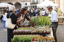 'Fiori e sapori': ottima partenza