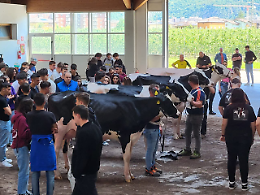 Valutazione morfologica bovina, anche gli studenti dello Stanga alla gara nazionale