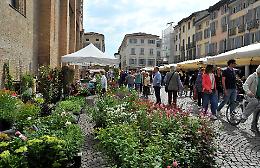 ‘Crema fiori e sapori’, anche gli stand domenicali fanno centro