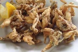 44^ edizione della Sagra della Rana e del Pesce