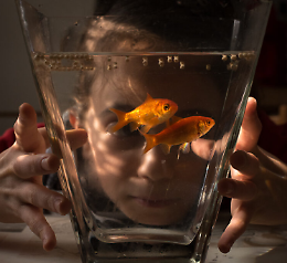 Becoming a citizen. Le foto di Isabella Franceschini