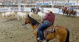 Salone del cavallo americano: all'assalto del West