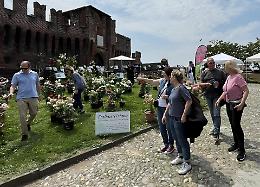 A Soncino torna ‘Borgo fiorito’: fiaba verde alla rocca