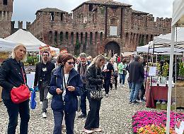 Con il ‘Borgo Fiorito’ festa di colori a Soncino