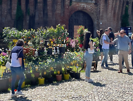 'Borgo Fiorito': migliaia di visitatori a Soncino