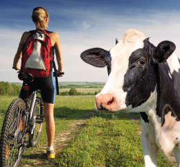 Le vie del latte: escursione in bicicletta nelle campagne