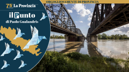 Un avvoltoio si aggira sulle nostre teste