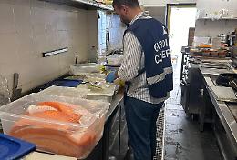 Maxi sequestro di pesce proveniente dall'estero a Cremona