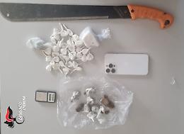 Operazione antidroga nelle campagne, colpo a segno dei carabinieri