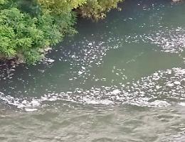 Allarme, schiuma bianca nell’Adda