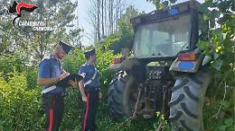Ritrovati i trattori rubati, decisiva la collaborazione degli agricoltori 