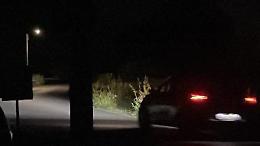 Illuminazione ko in via Bosco: «Due mesi al buio»