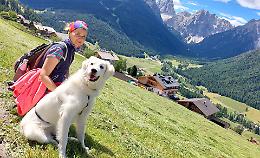 Torna ‘In vacanza con il mio pet’: via il primo agosto, inviateci le vostre foto