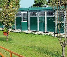 ConsorzioIT sul canile: basta accoglimenti